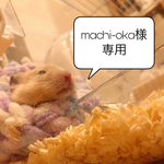 ♡専用ページ♡