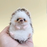 形が変えれる！？ミニチュアハリネズミのぬいぐるみ⚠️いつもより小さいバージョンです。