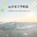 saly☆ayさまご予約品*☆*―――――