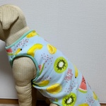 大型犬服フリースフルーツ柄