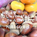 ミンネ限定セット　発送日をご確認下さい
