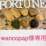 wancopap様専用画面
