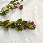 remon5flower様専用サイト