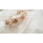 baby crown pink white Ajisai