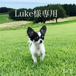 Luke様専用ページ