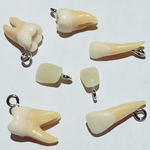 ランダム！Tooth！ストラップチャーム