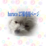 こちらは専用ページとなります
