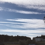 【donhome1様専用】集成材の折りたたみテーブル