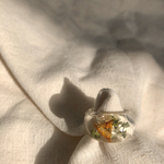 クリアリング（botanical）