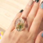 モミノキリング
