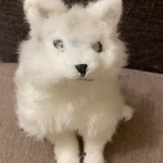 柔らかいおおかみさん