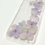 iPhone6 ハードケース 紫陽花