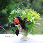 スタイリッシュな観葉植物ギャザリング寄せ植え