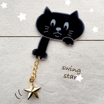 黒ねこのブローチ ゆらゆら星