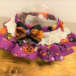 犬・猫の首輪　36～39　cocochanフリルチョーカー　ハロウィン柄・お化けカボチャ・パープル・