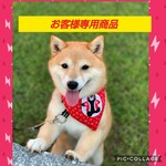 hitomi様専用 フェイスカバー三枚セット