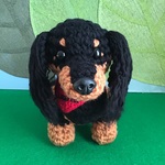 デカサイズ🐶ダックス 