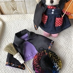 ハロウィン変身セット(羊毛サイズ)
