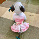 アイボ  服〜キャンディaibo7️⃣