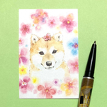 水彩画カード柴犬10枚（お花と豆柴ミニイラストカード／うちのこメッセージカード）売上の一部は犬猫のための寄付に