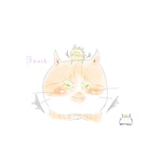 専用ページ