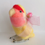 コザクラインコ(ルチノー)さん・(大)