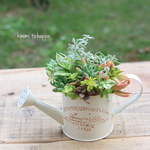 手のひらサイズ🌱ブリキのジョーロに多肉植物の寄せ植え