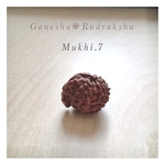 ガネーシャ・ルドラクシャMukhi《７面・菩提樹の実 》幸運の象徴「粒売り」ユニークビーズ コレクション