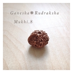 ガネーシャ・ルドラクシャMukhi《８面・菩提樹の実 》幸運の象徴「粒売り」ユニークビーズ コレクション