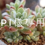PI様専用