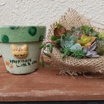 リメイク鉢+カット苗 茶トラグリーン  