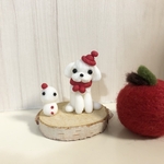 マルチーズ✻