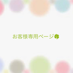 H様専用   アクリルタワシ(大)