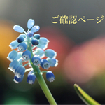 確認ページ 5