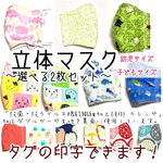 クレンゼ加工生地 立体マスク 子どもサイズ 2枚セット《印字タグ付き》