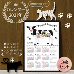 お写真&名前入り◆2021年ウシさんカレンダー＊３枚セット【001】