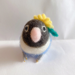 タンポポ　ボタンインコさん・(小)