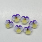 受注生産☆樹脂粘土☆ビオラ☆13