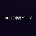 ちょうちょうのお皿×2
