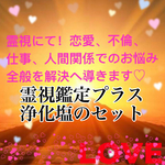 ⭐期間限定⭐❤霊視鑑定、浄化塩セット❤あなたのお悩みにお答えしてお送り致します♡