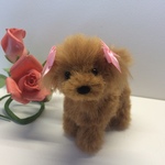 見つめるプードルちゃん(立ち・アプリコット)