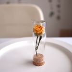スプレーバラ(yellow) Flower Bottle 　フラワーボトル　　植物標本　