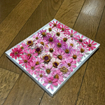 fuさまのご確認ページです（＾Ｏ＾）