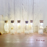 ＊White flower light bottle arrangement＊A