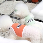 Maramo 様専用★ALQEEN★犬服　無料名前入り　シャツ・リボンセット　大型犬対応可能