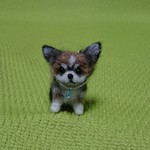 オーダー品 チワワ ブラックタン&ホワイト ストラップ 羊毛フェルト