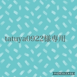 tatuya0922様専用