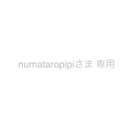 numataropipiさま 専用