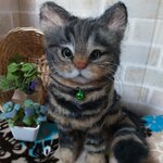 (naaaaru1022様専用ページ)キジトラちゃん