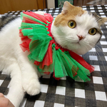 クリスマス首輪